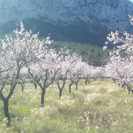 Apartmán Escape Rural En La Marina Alta Benigembla Exteriér fotografie