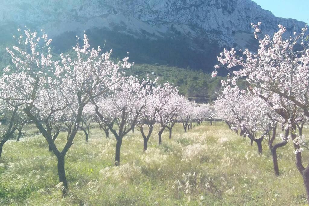 Apartmán Escape Rural En La Marina Alta Benigembla Exteriér fotografie